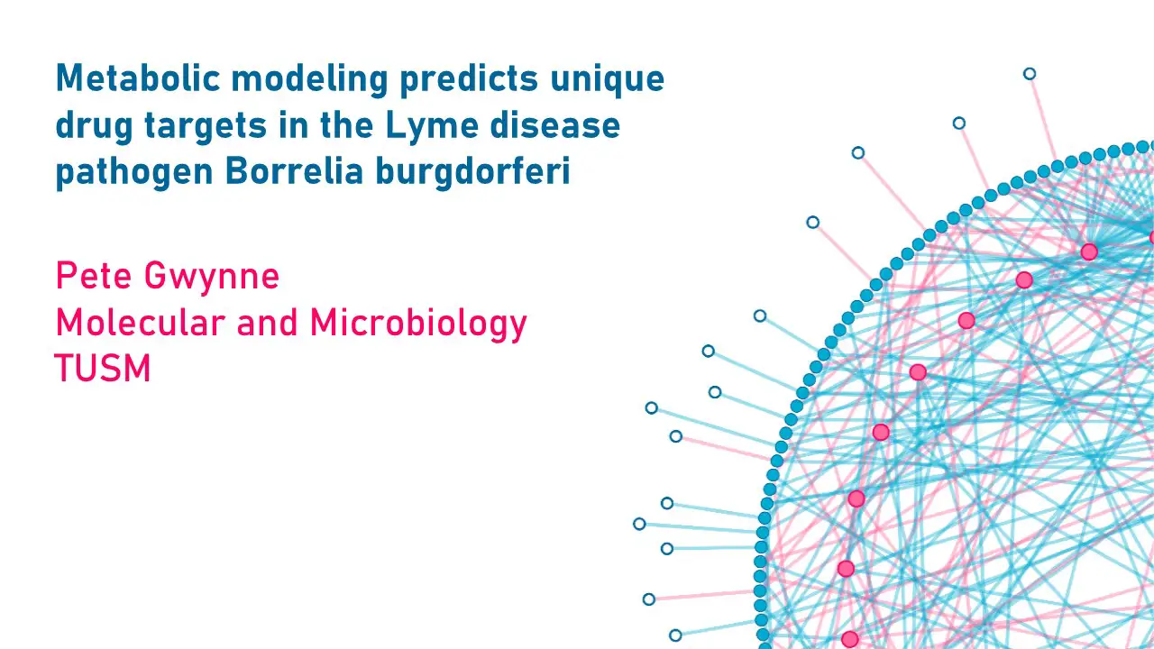 CIMAR Lecture: Developing narrow spectrum antibiotics for Lyme