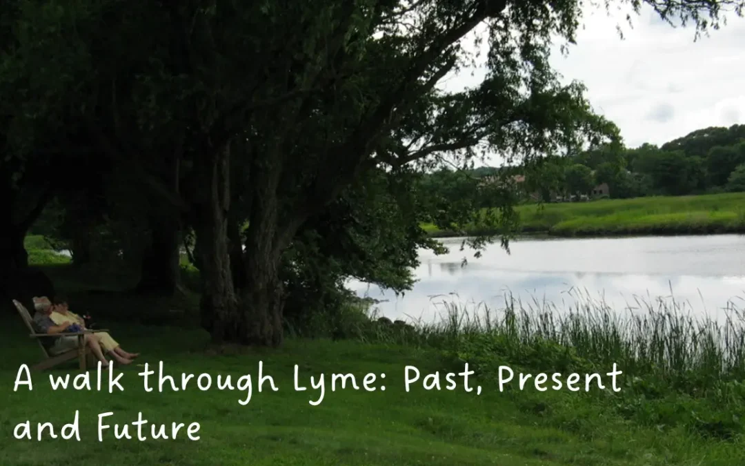 A Walk through Lyme: Past Present and Future