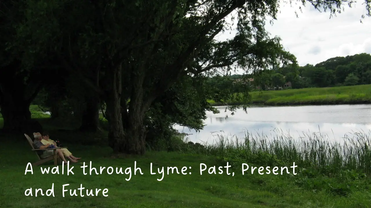 A Walk through Lyme: Past Present and Future