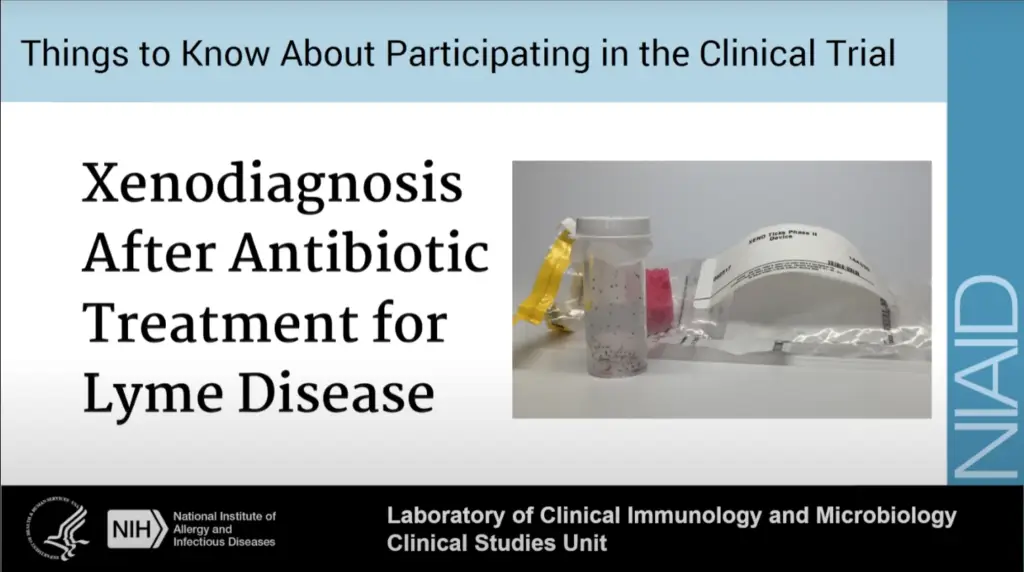 Clinical Trial of Xenodiagnosis After Antibiotic Treatment for Lyme Disease