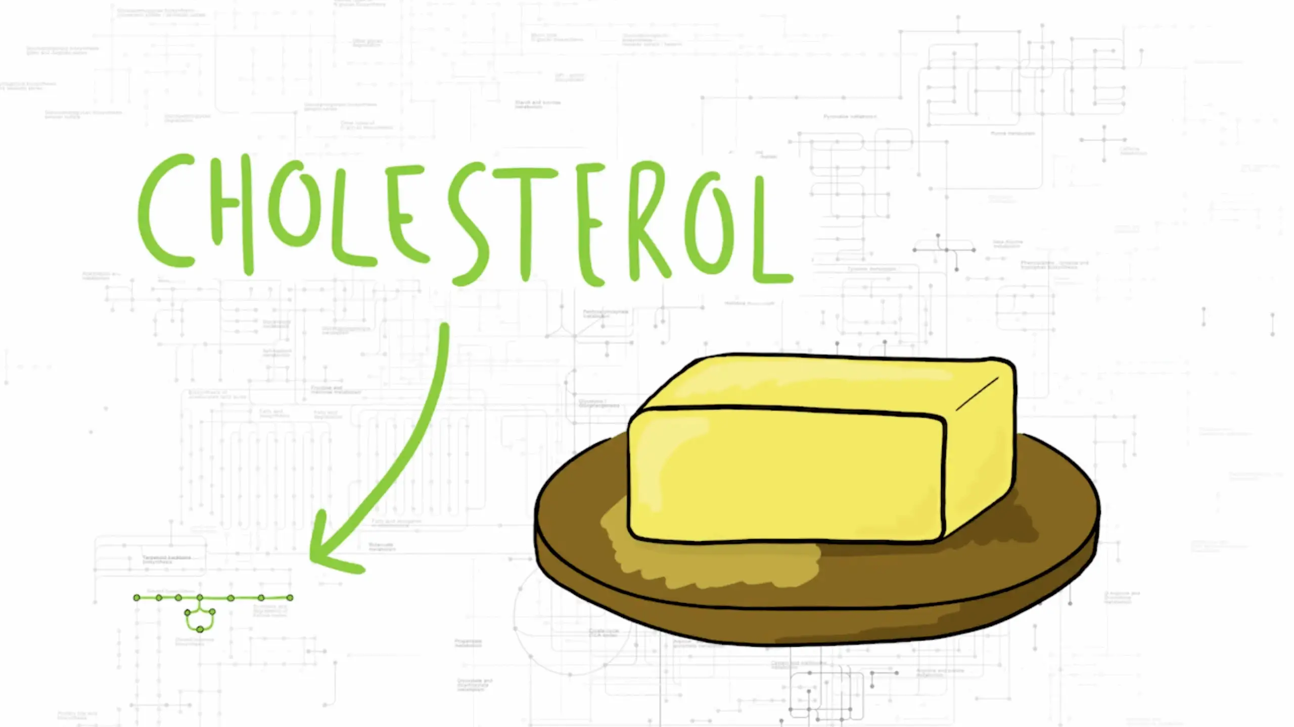 Feed Me: Hijacking the Lyme bacteria’s nutritional requirements