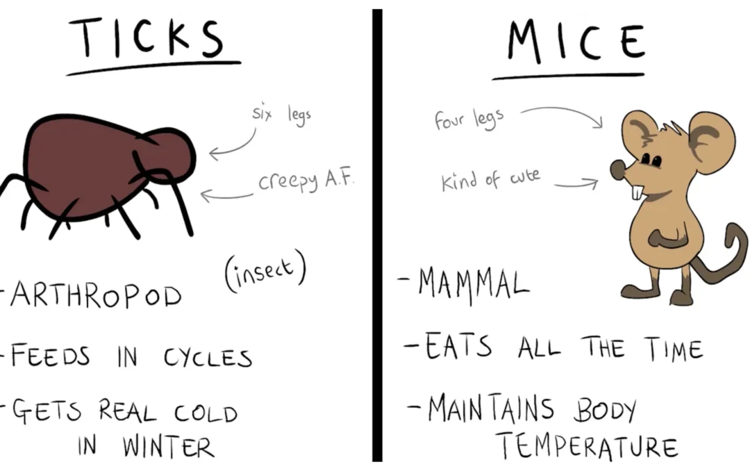 Hitchin’ a Ride: Exploiting the Tick-Bacteria Interface