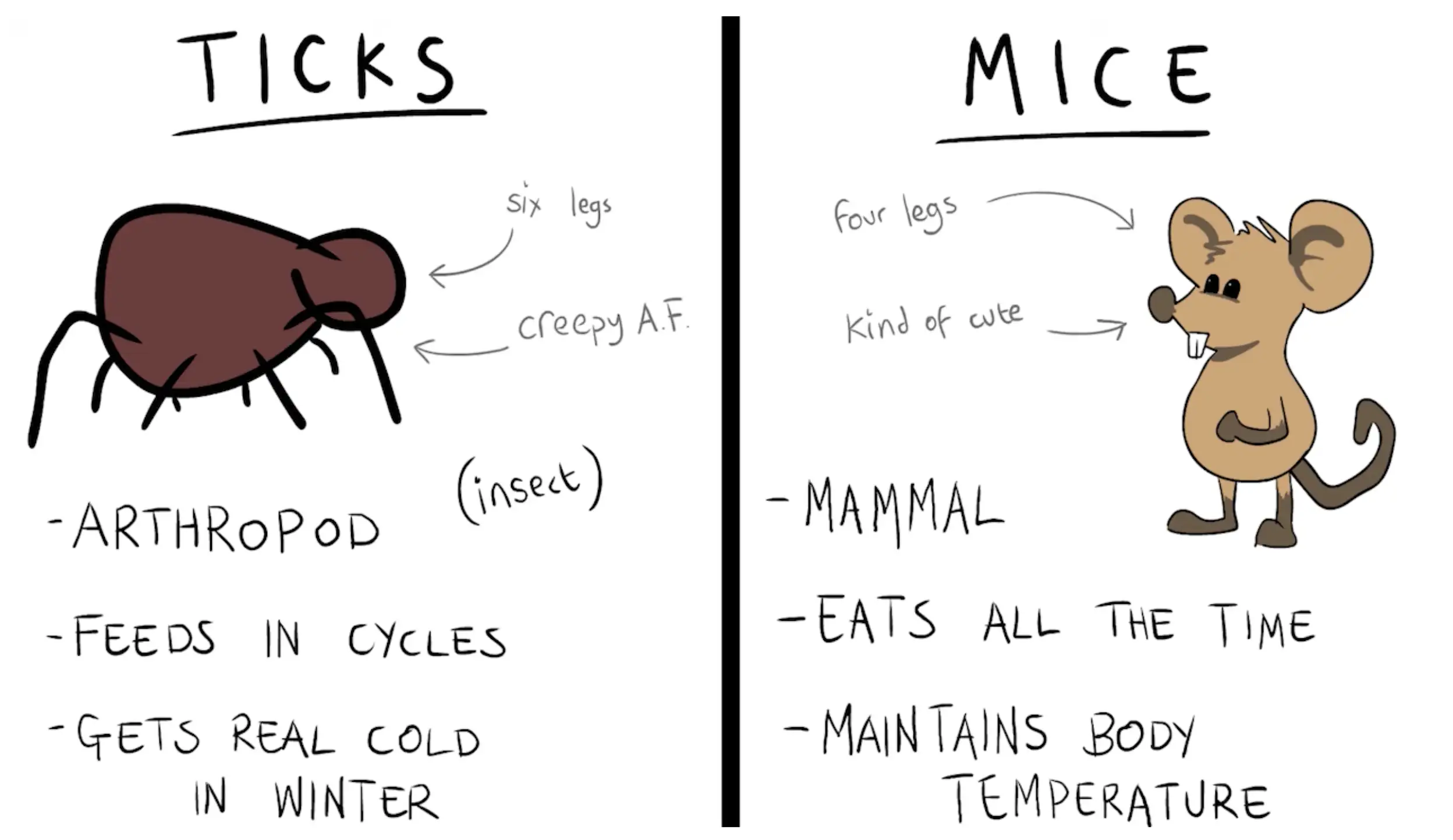 Hitchin’ a Ride: Exploiting the Tick-Bacteria Interface