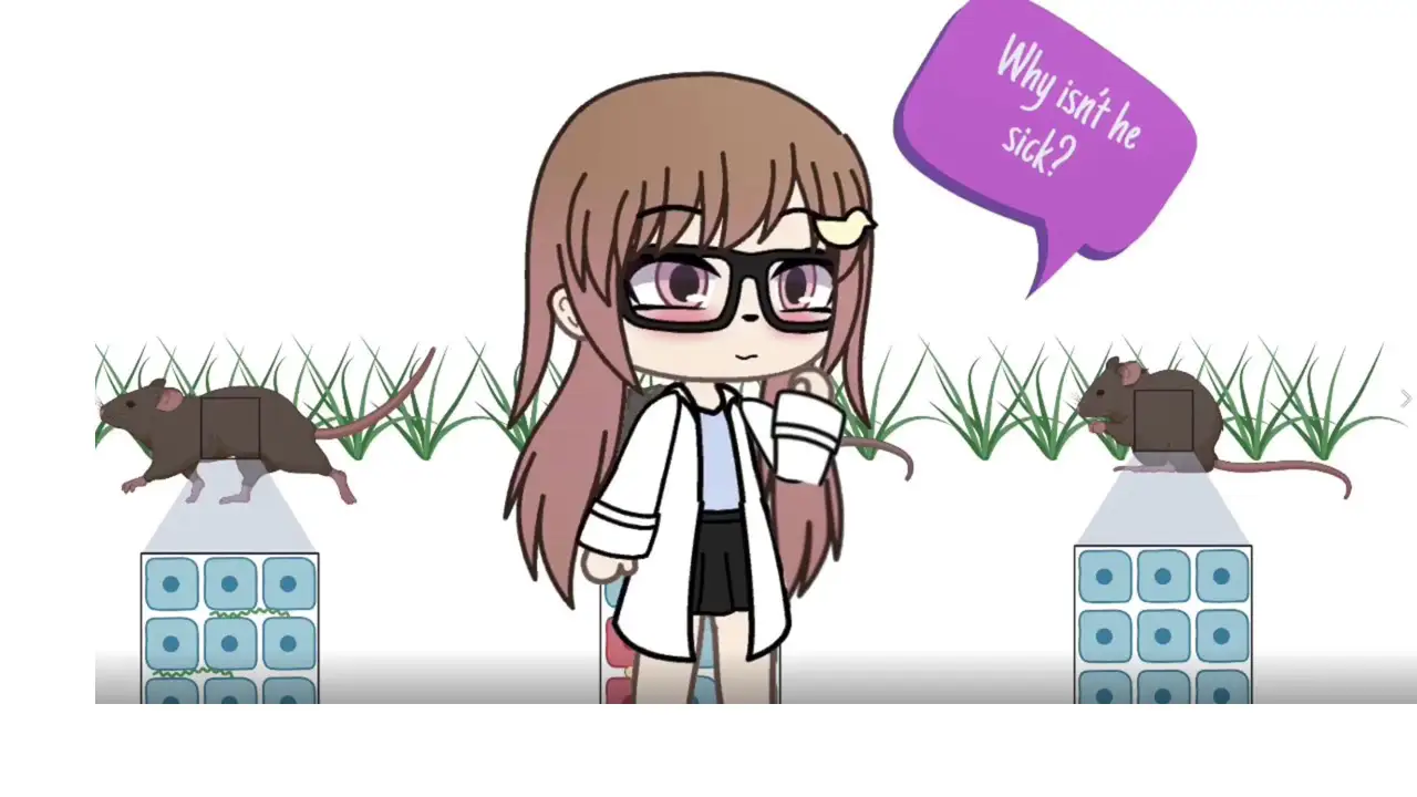 How Lyme Hides: Subverting the immune system for survival