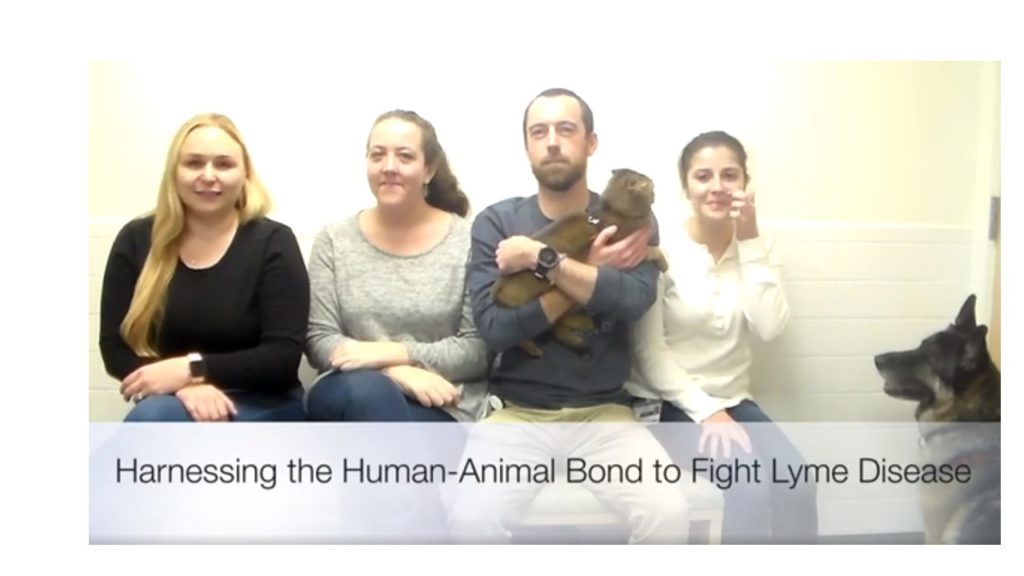 Join the Tufts Lyme Disease Challenge to end Lyme disease