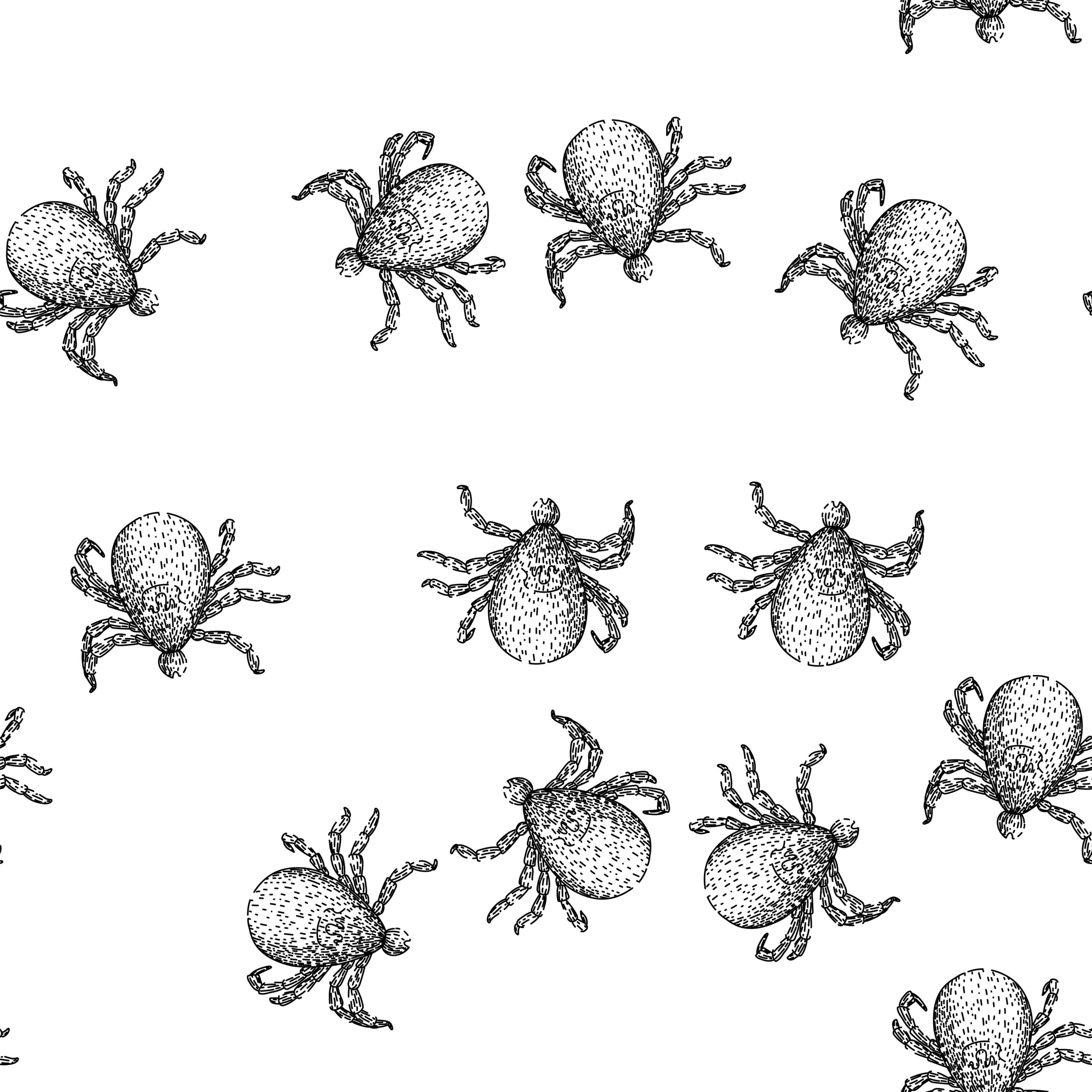 The Summer the Ticks Took Over