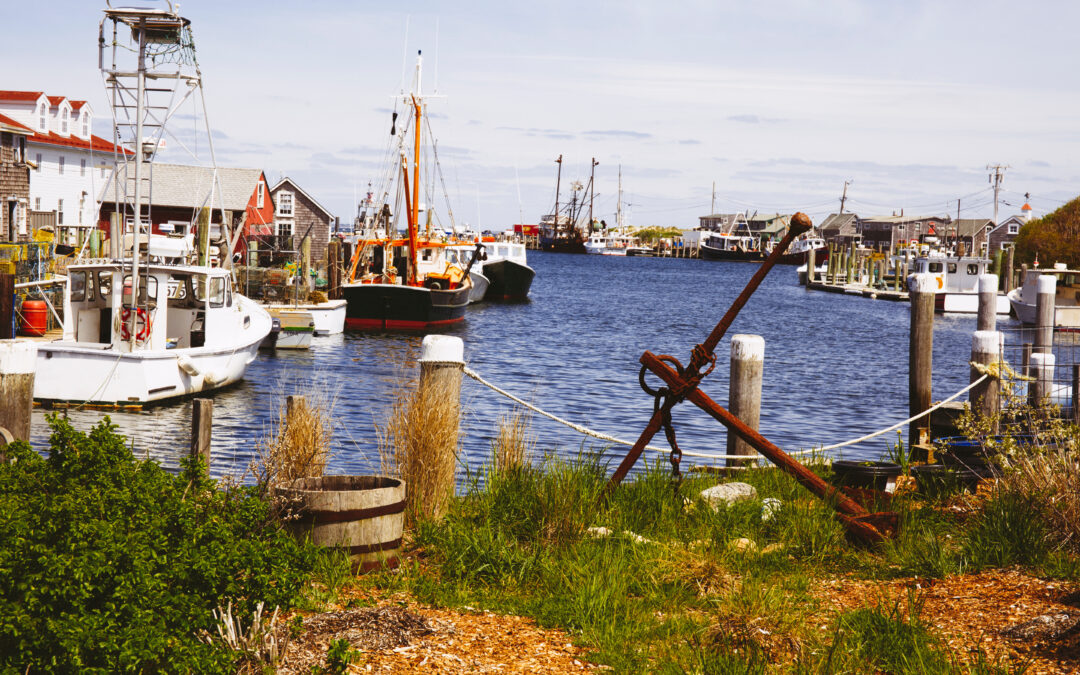 Scientists Study Martha’s Vineyard to Get to Root of Chronic Lyme
