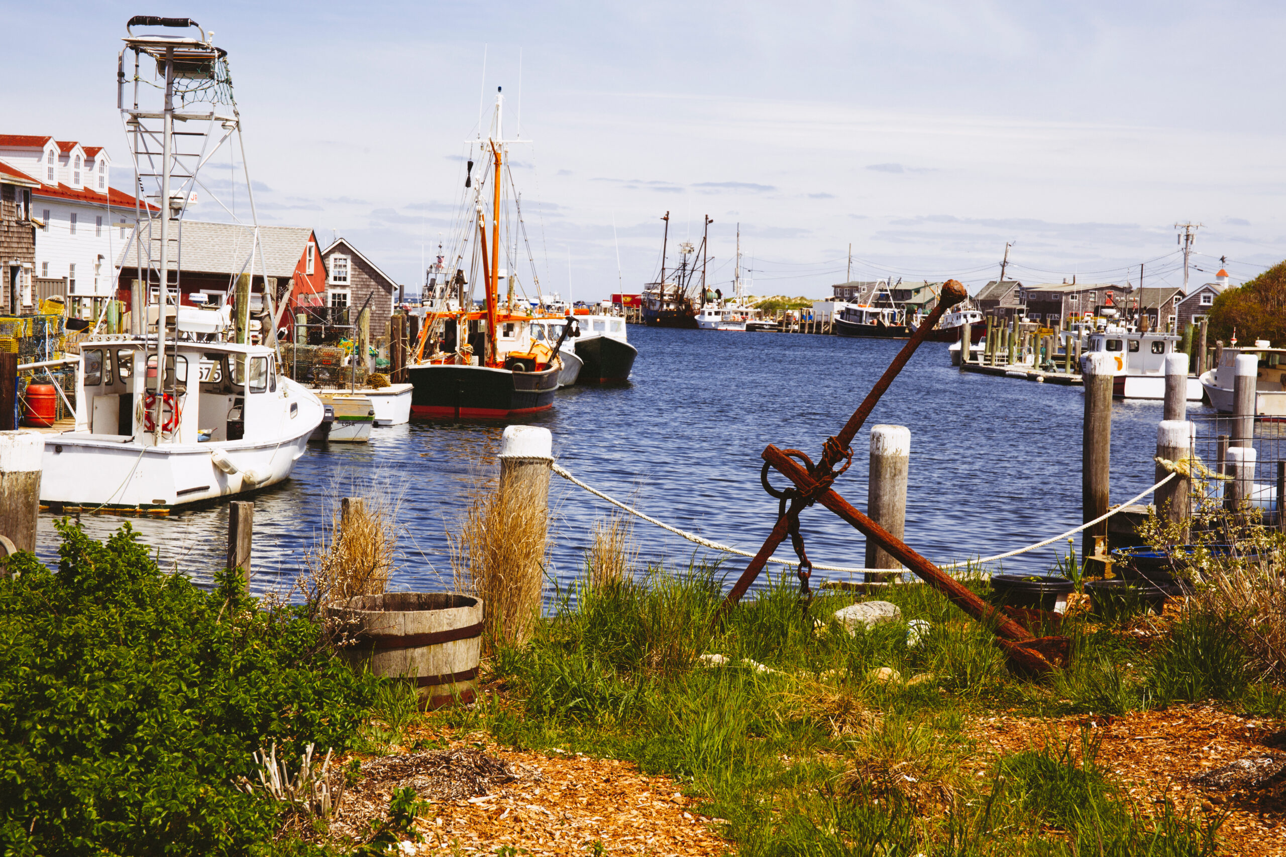Scientists Study Martha’s Vineyard to Get to Root of Chronic Lyme